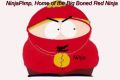 ninjaness'\'s Avatar
