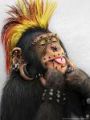 gazpar'\'s Avatar
