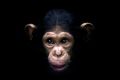suncchy'\'s Avatar