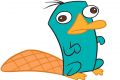 james73'\'s Avatar