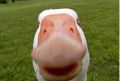 hassan'\'s Avatar