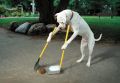 dogdays'\'s Avatar
