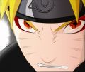 rattle1'\'s Avatar