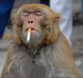 mafiosajuan'\'s Avatar