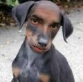 pinchandtwist'\'s Avatar