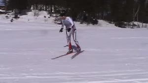 Cross or X Country Skiing-Free Skate Technique