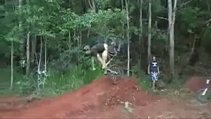 Beautiful face plant