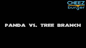 Panda vs Tree Branch