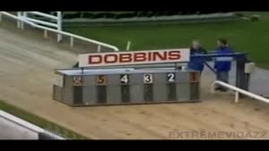 Greyhound racing FAIL!