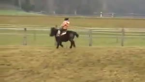 Ostrich chases pony