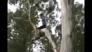 Kid Fails On Back Flip Off Tree