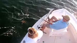 Shark Attacks 160lbs Tarpon