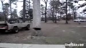 Dont park where you cut a tree...