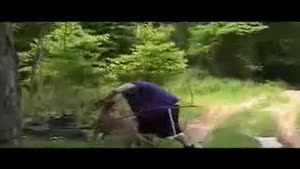 Deer Attacks Fat Guy