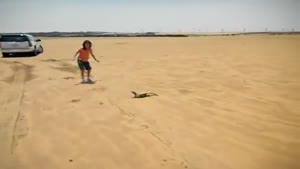 Girl captures a Uromastyx lizard