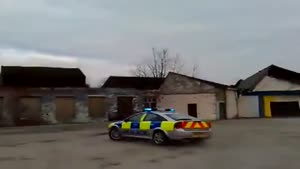 Local Youth Steals A Police Car
