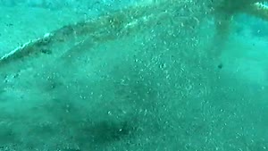 Turning Over A Starfish