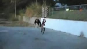 BMX Fence Jump Face Bash