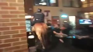 Police Horse Goes Inside Bar