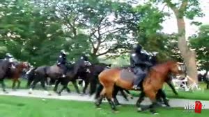 Police Horse Runs Over Annoying Specator