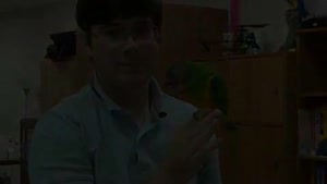 20 Parrot Tricks In 2 Minutes