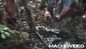 cruel way to kill a pig