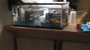 Explosion In Aquarium Fail