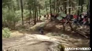 Biker Headplants Into Tree