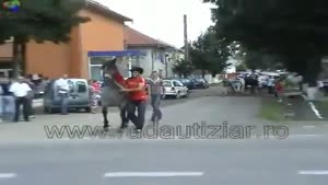Gypsy Get's Kicked By Horse