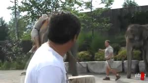 Zookeeper Fail