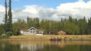 Husky Dog Wakeboarding