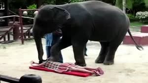 Big Massage