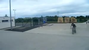 Fail Whip