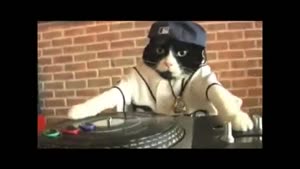 Give it up for DJ Kitty!