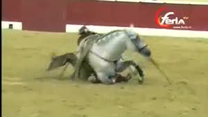 Female Bullfighter Falls