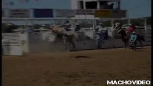 horse uppercuts cowboy