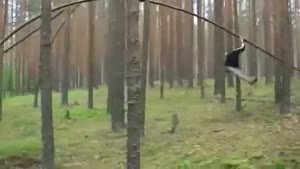 Tree Rider Fail