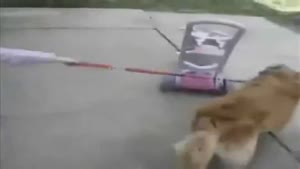 Command Fail
