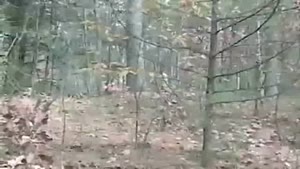 Mountain Bike Landing Fail