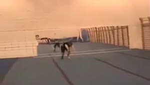 Backflip Mirror Fail