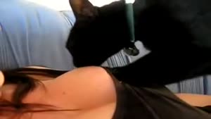 Cat Is Massaging a Boob
