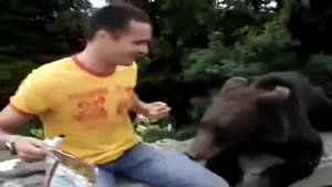 Feeding A Bear