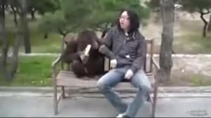 Dude Tries To Steal Orangutans Food