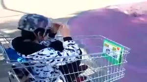 Shopping Kart Stunt Fail