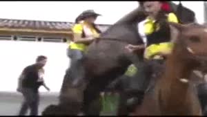 Horny horse makes a big scene