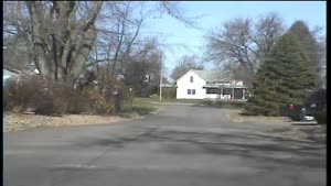 Deer Jumps Over Car