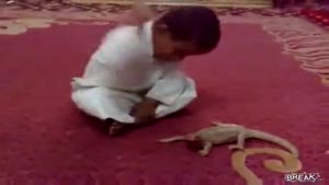 Lizzard takes revenge on sadistic kid