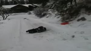 Painful Sled Jump Accident