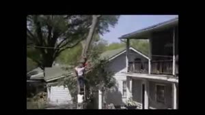 Tree Cutting Ladder Accident