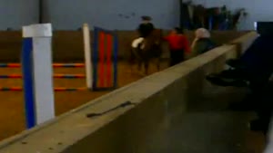 Girl Falls Off Horse